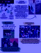 news avril2